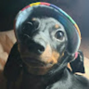 Meet your Posher, Jim or melissa